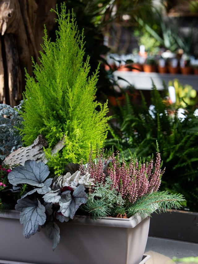 10 Companion Plants You Should Always Grow Next to Winter Squash